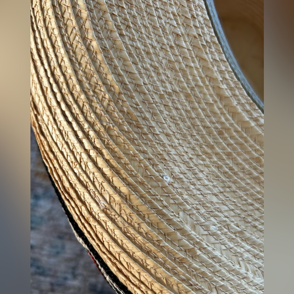 SunBody Palm Hat - Picture 14 of 15